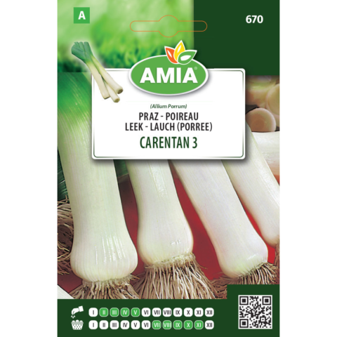 Bulbi, seminte si rasaduri - Seminte de praz Amia Carentan 3, 1,5 g