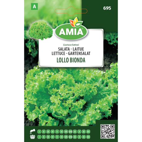 Plante & Flori - Seminte de salata Amia Lollo Bionda, 2 g