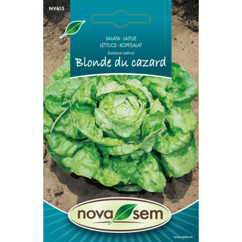 Casa, Gradina & Bricolaj - Seminte de salata Blonde du Cazard Novasem, 1 g