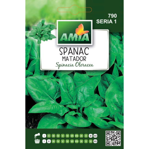 Casa, Gradina & Bricolaj - Seminte de spanac Matador Amia, 10 g