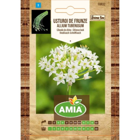 Casa, Gradina & Bricolaj - Seminte de usturoi de frunze, Amia Farma Line, Allium tuberosum