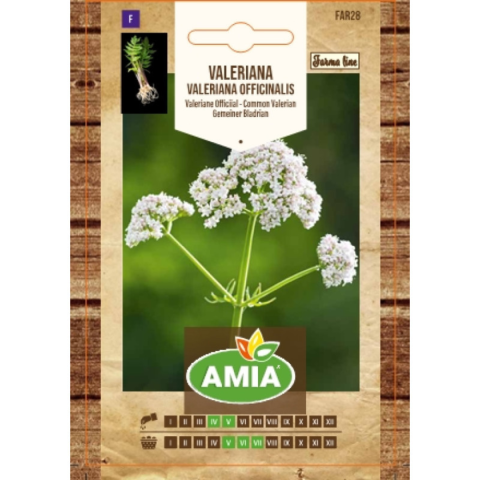 Plante & Flori - Seminte de valeriana, Amia Farma Line, Valeriana officinalis