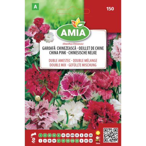 Casa, Gradina & Bricolaj - Seminte flori Amia Garoafa chinezeasca flori mari duble 1 g