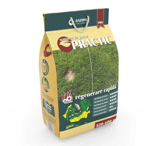 Casa, Gradina & Bricolaj - Seminte Gazon Practic pentru trafic, regenerare rapida si crestere lenta, 4 KG