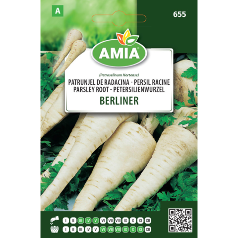 Bulbi, seminte si rasaduri - Seminte patrunjel de radacina Amia Berliner 5 g