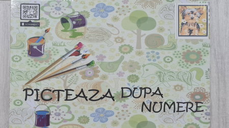 Jocuri - Set pictura Picteaza dupa Numere 20x30
