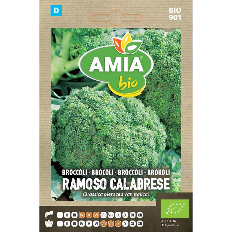Seminte bio brocoli Amia, 2,5 g [0]