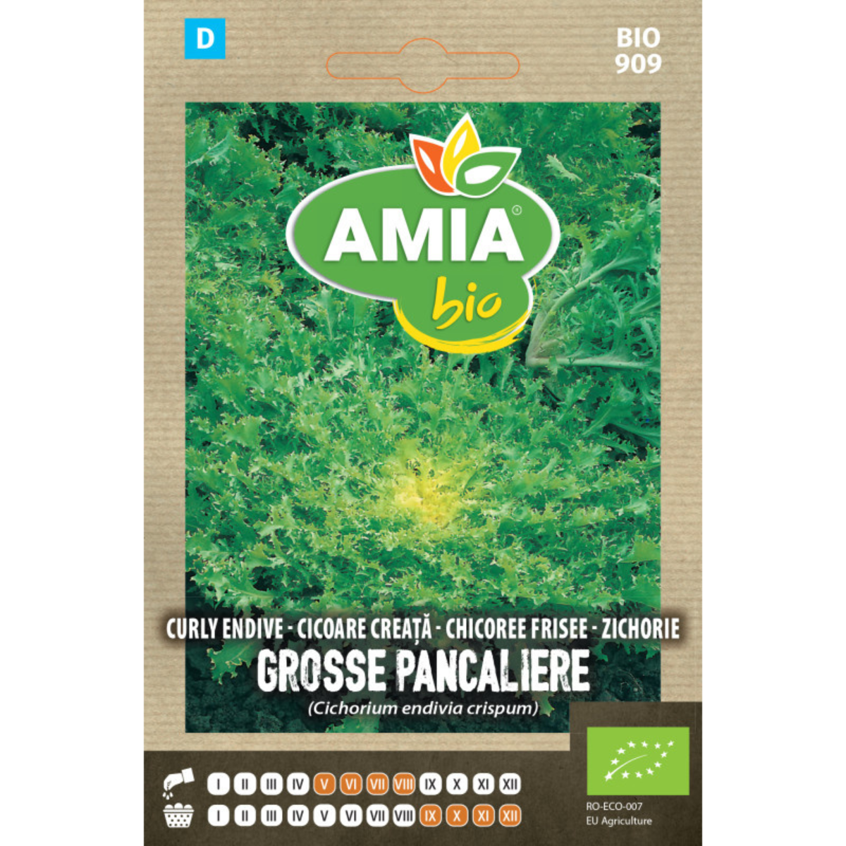 Seminte bio de cicoare creata Amia Grosse Pancaliere Race Alba, 1 g [0]