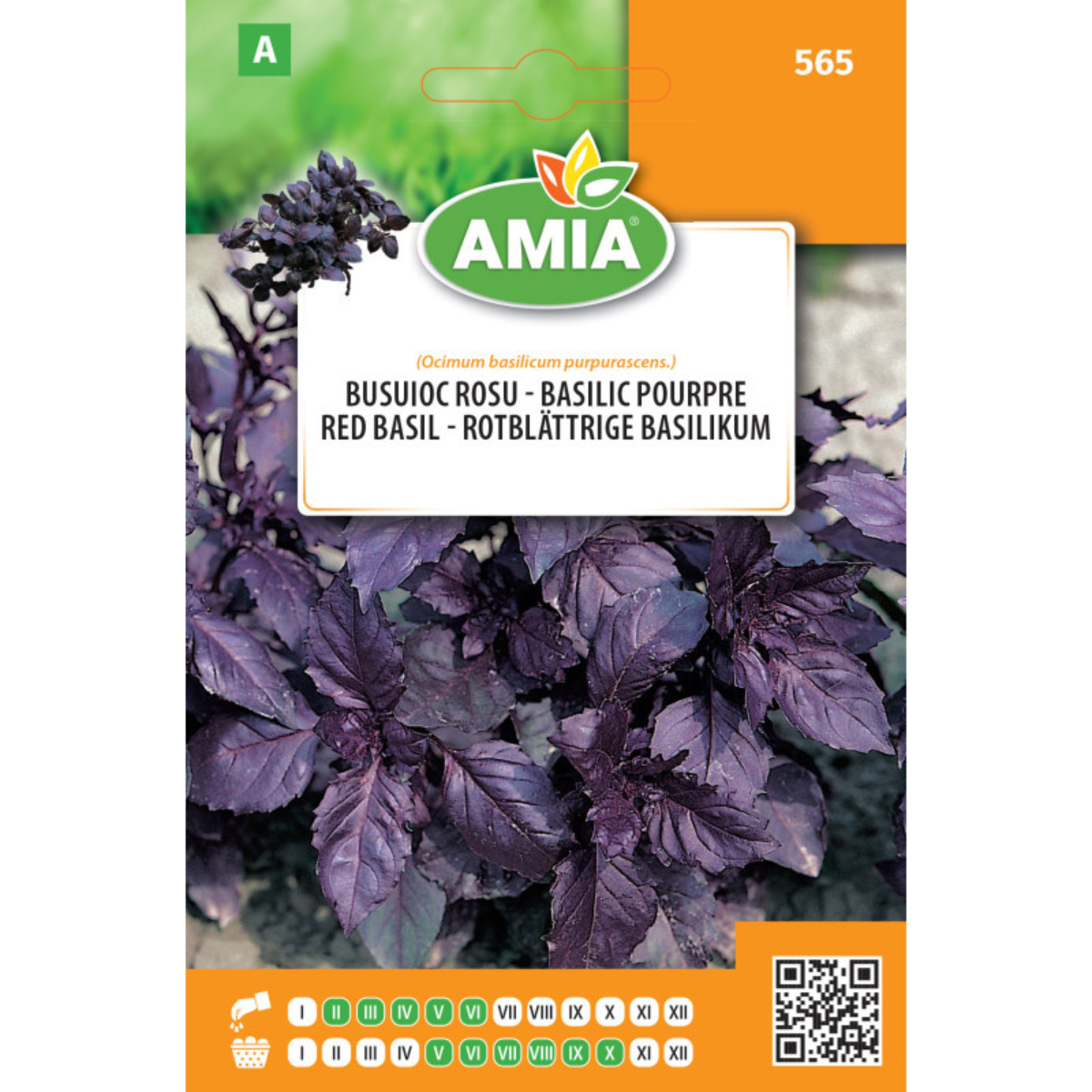 Seminte de busuioc rosu Amia, 0,8 g [0]