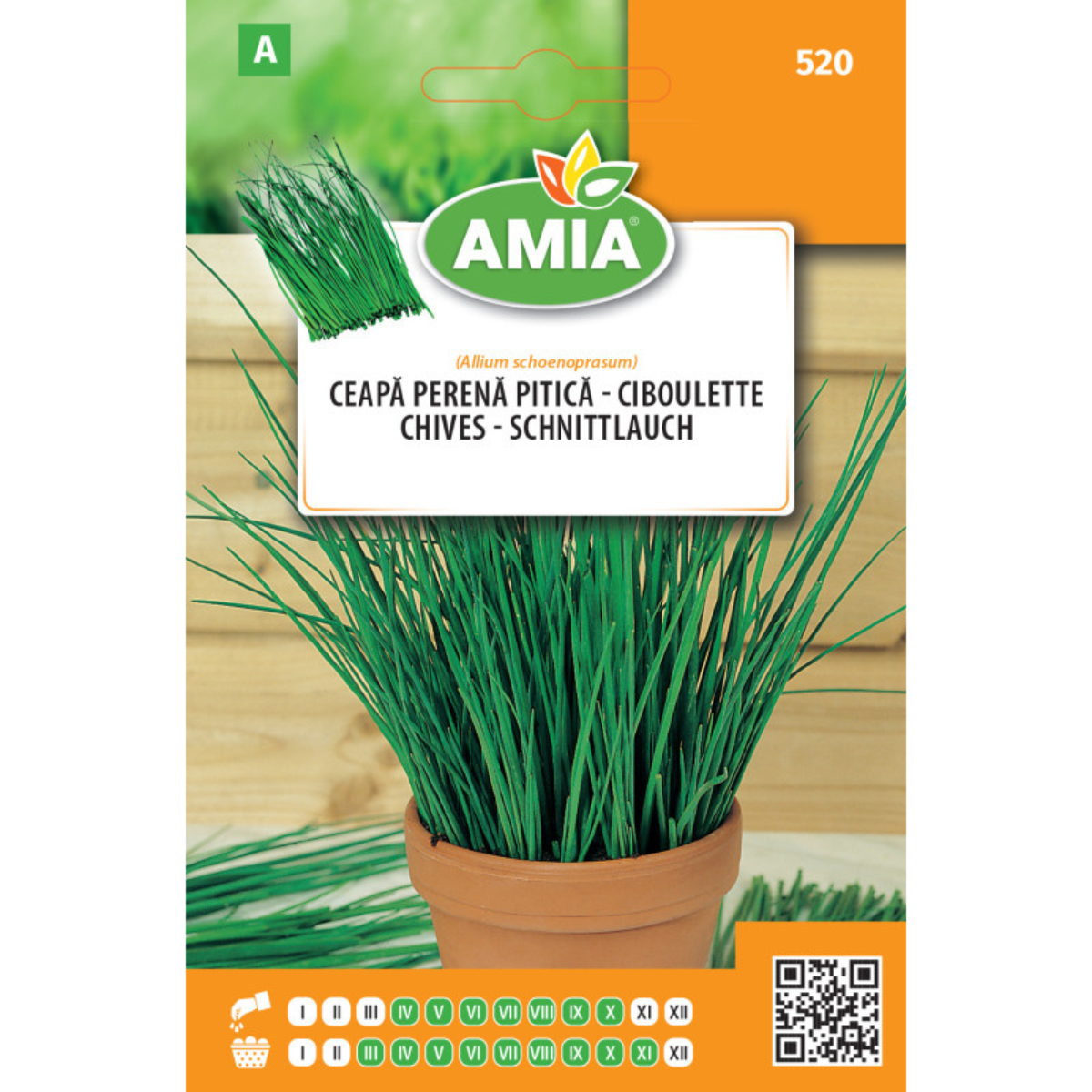 Seminte de ceapa perena pitica, 1 g [0]