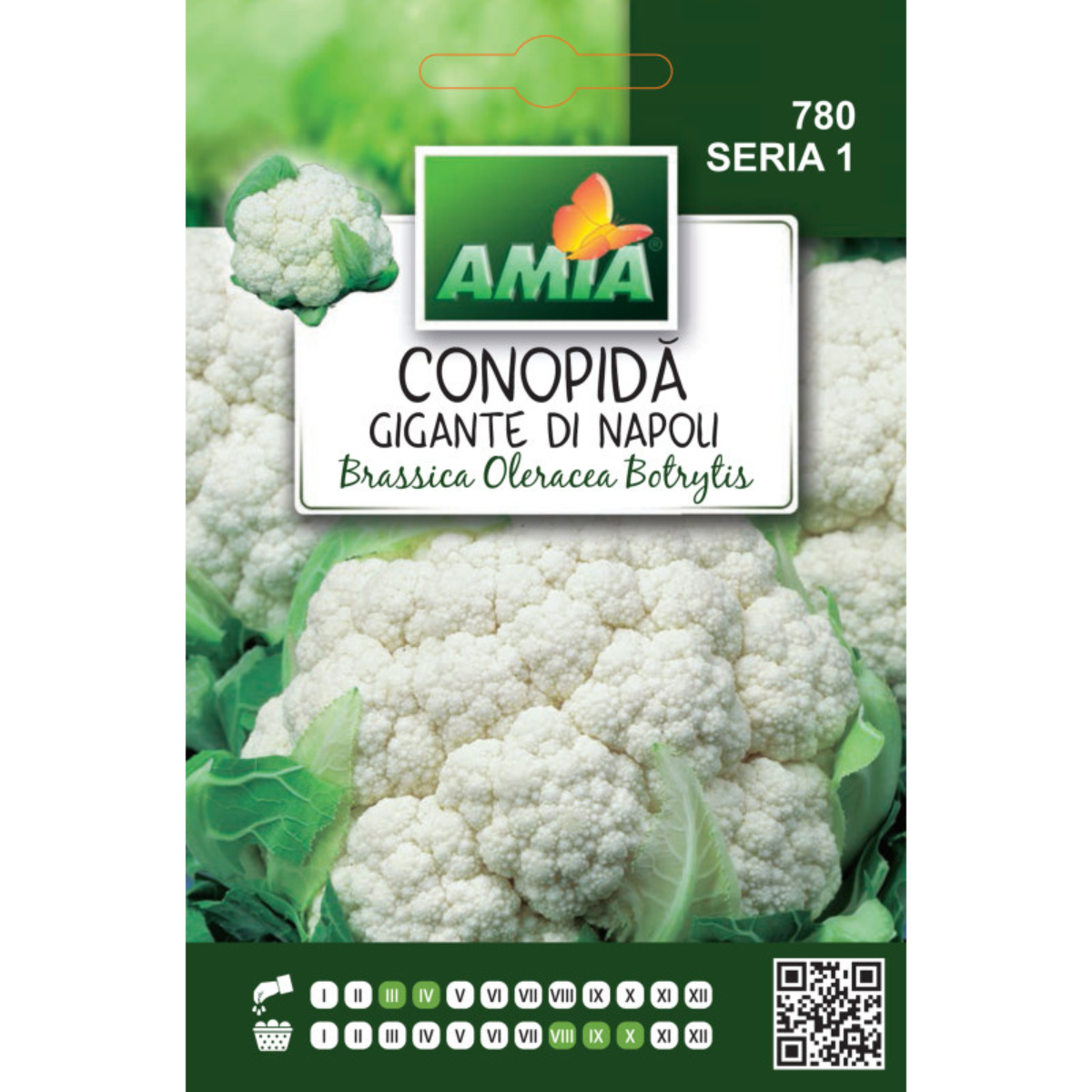 Seminte de conopida Gigante di Napoli Amia, 1 g [0]