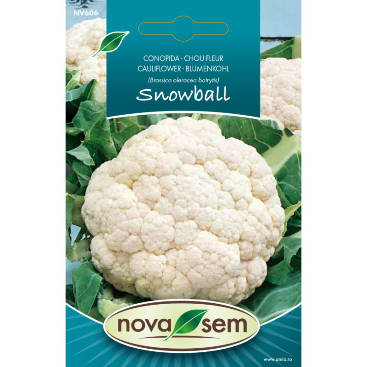 Seminte de conopida Snowball Novasem, 0,6 g [0]
