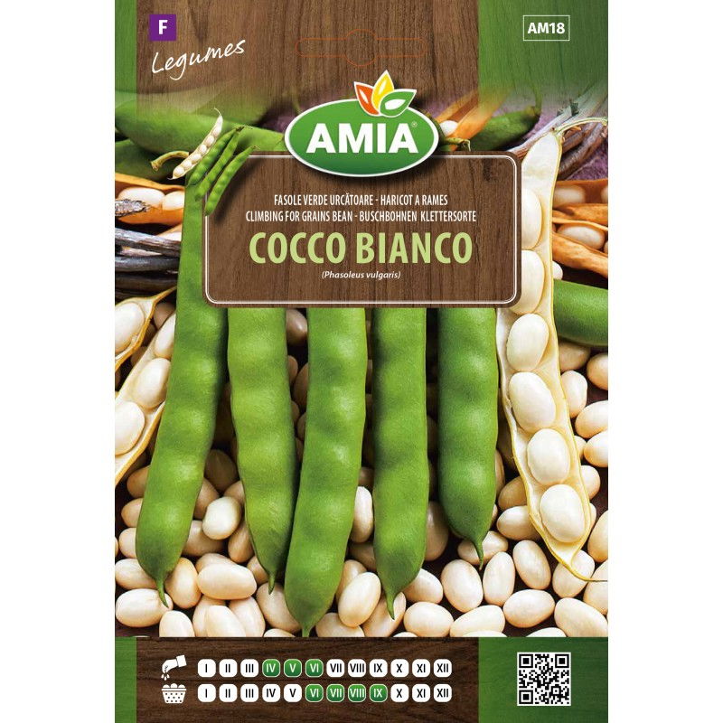 Seminte de fasole alba Amia Cocco Bianco 20, g [0]
