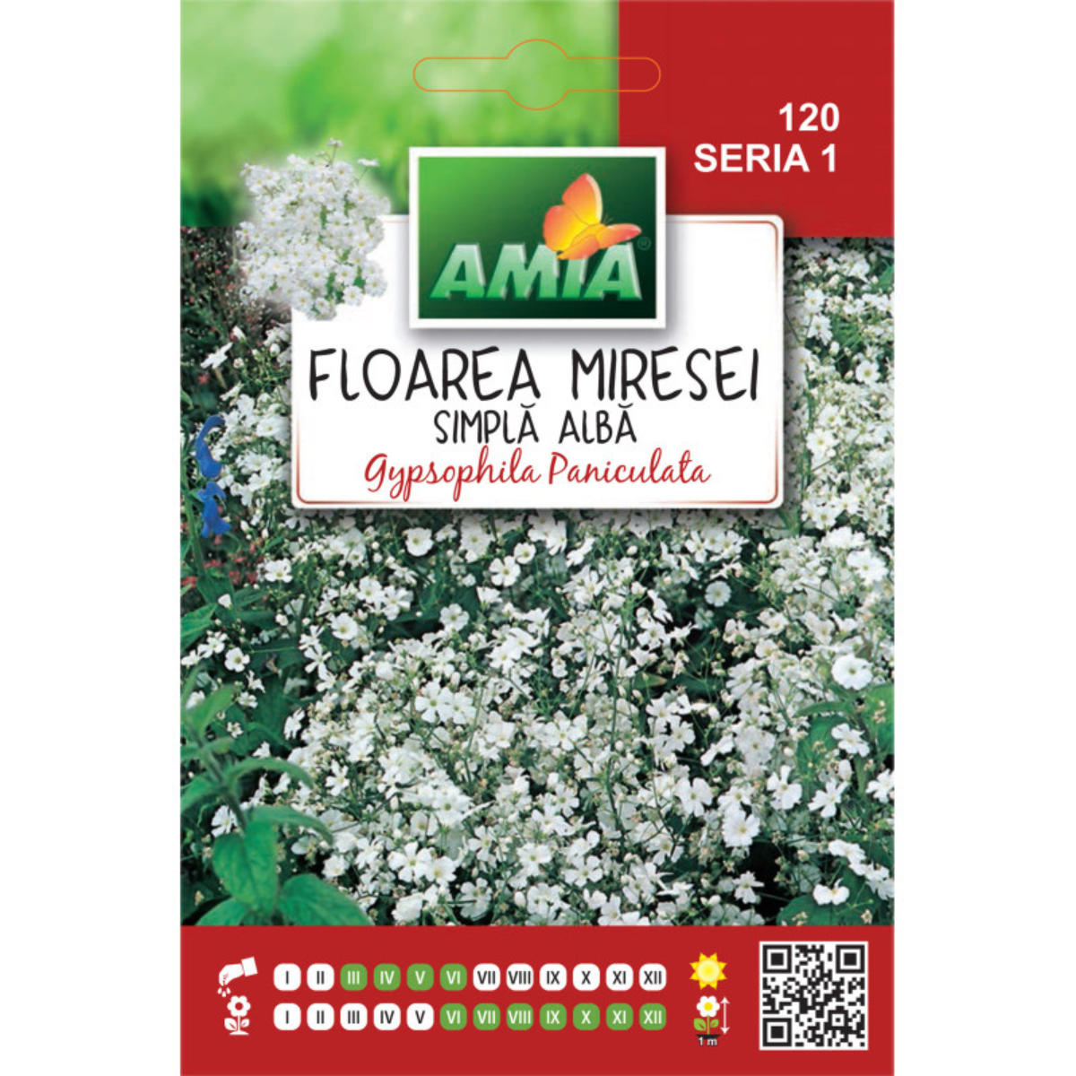 Seminte de flori Amia Floarea Miresei simple alba, 0,8 g [0]