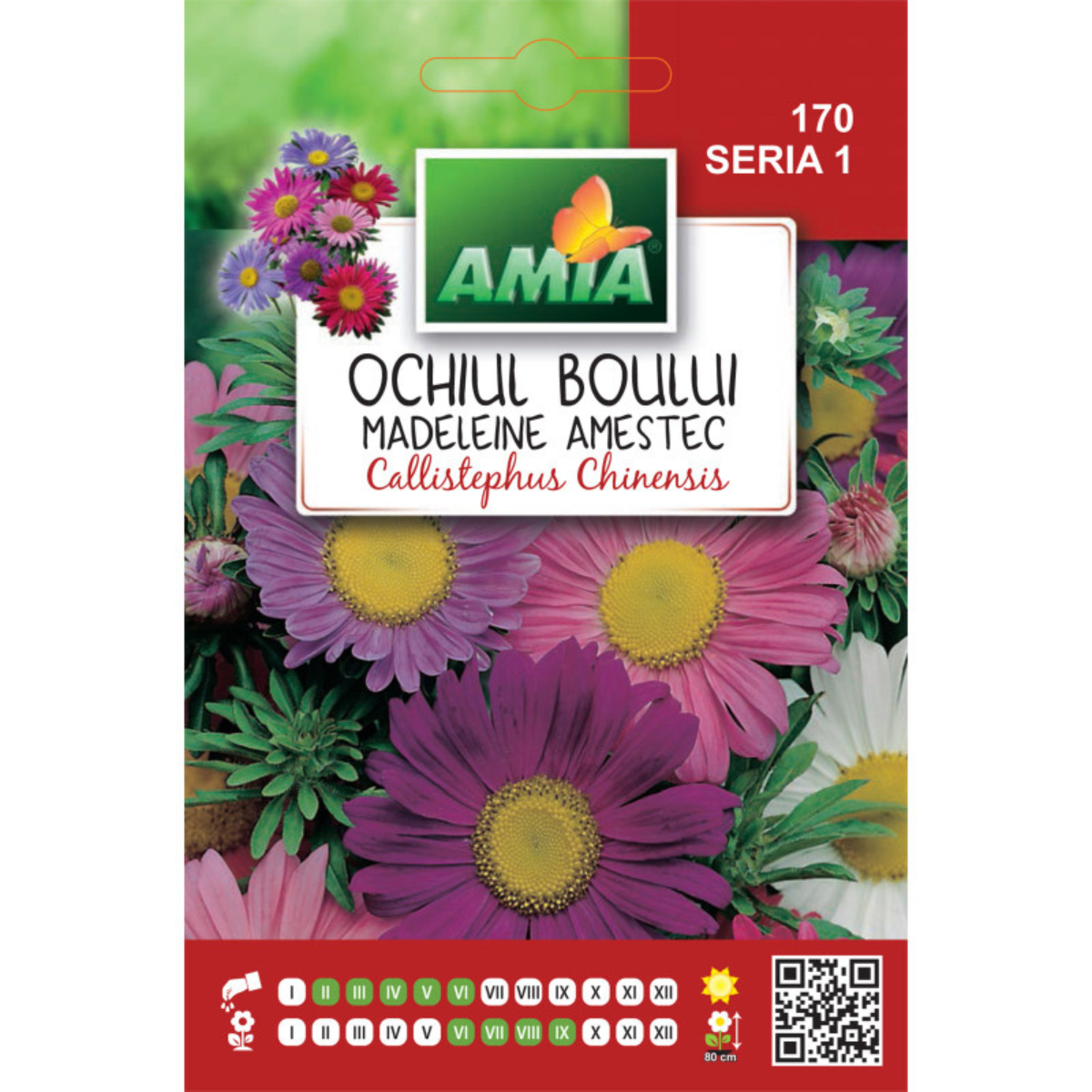 Seminte de flori Amia ochiul boului Madeleine amestec 1,5 g [0]