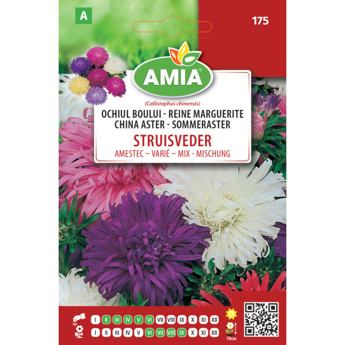 Seminte de flori Amia Ochiul boului pana de strut amestec 1 g [0]