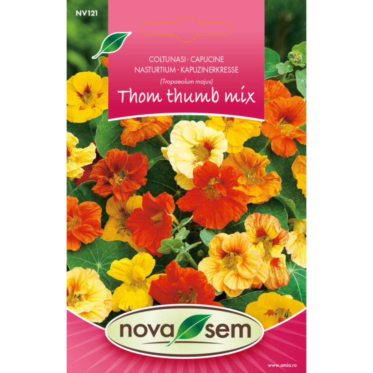 Seminte de flori coltunasi Tom Thumb amestec Novasem, 2,5 g [0]