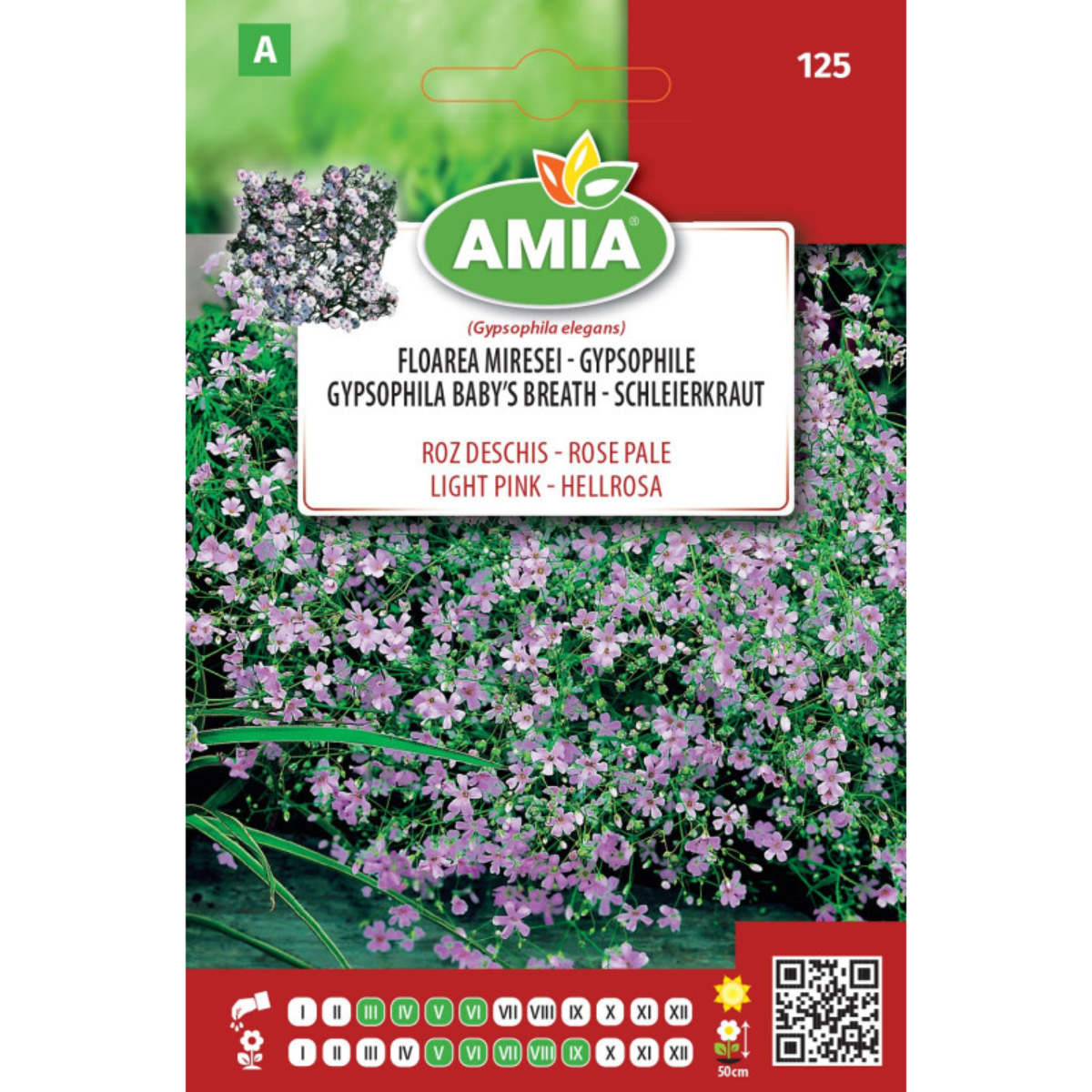 Seminte de flori Floarea Miresei roz deschis 1 gr Amia [0]