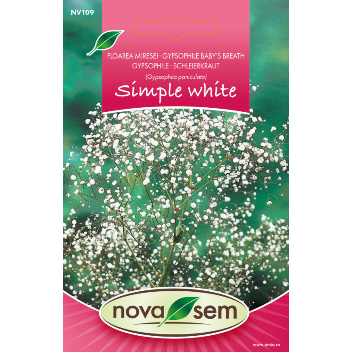 Seminte de flori floarea miresei simpla Novasem, alba 0,3 g [0]