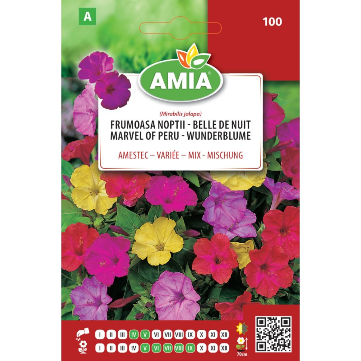 Seminte de flori Frumoasa noptii, amestec culori, 3 g [0]