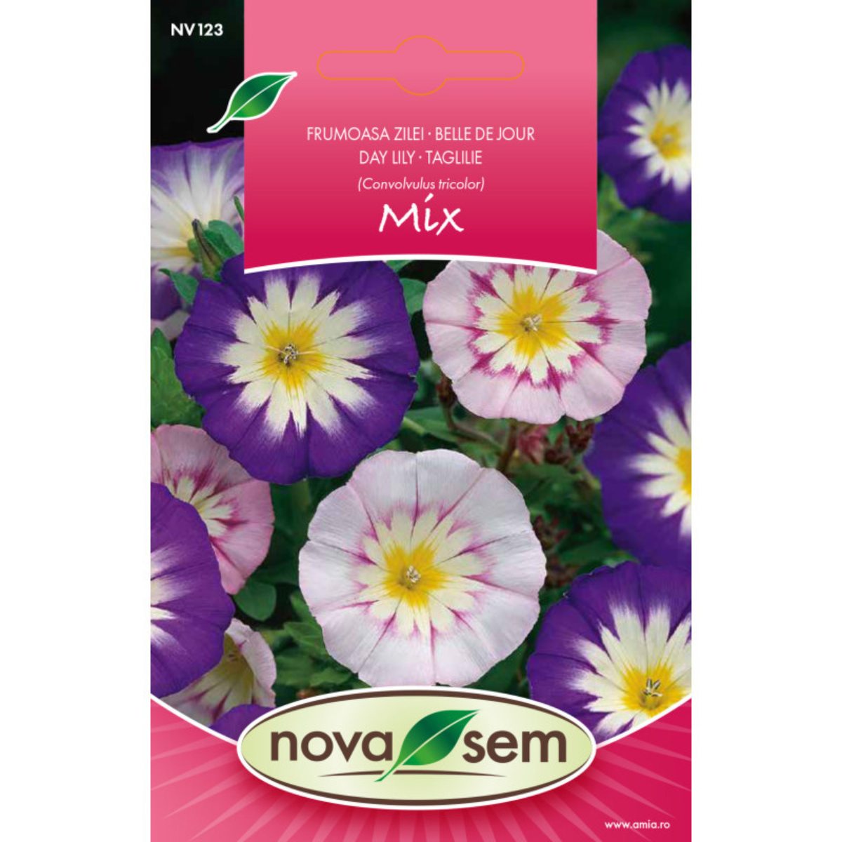 Seminte de flori frumoasa zilei Novasem, 1 g [0]