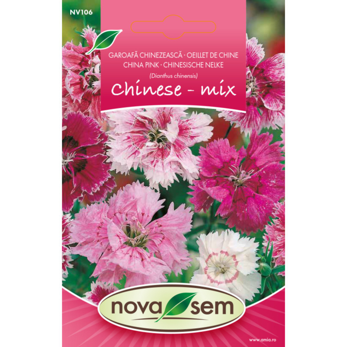 Seminte de flori garofita chinezeasca amestec Novasem, 0,5 g [0]