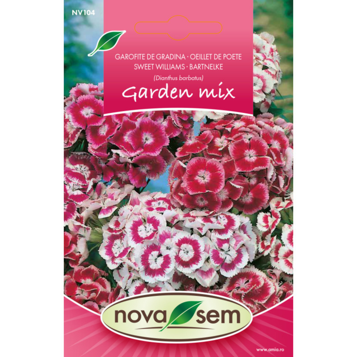 Seminte de flori garofita de gradina inalta amestec Novasem, 1 g [0]