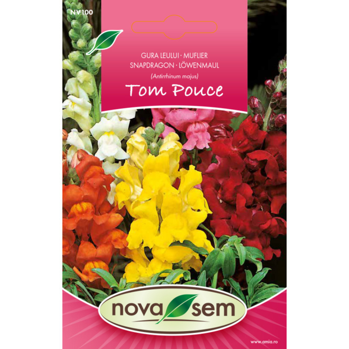 Seminte de flori gura leului amestec Novasem, 0,3 g [0]