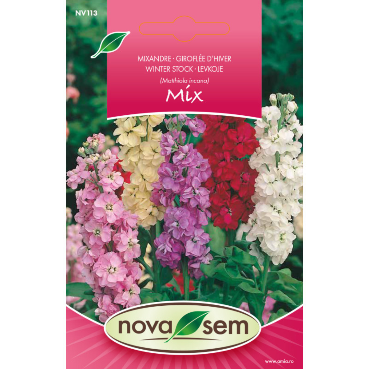 Seminte de flori Mixandre amestec simple Novasem, 0,3 g [0]