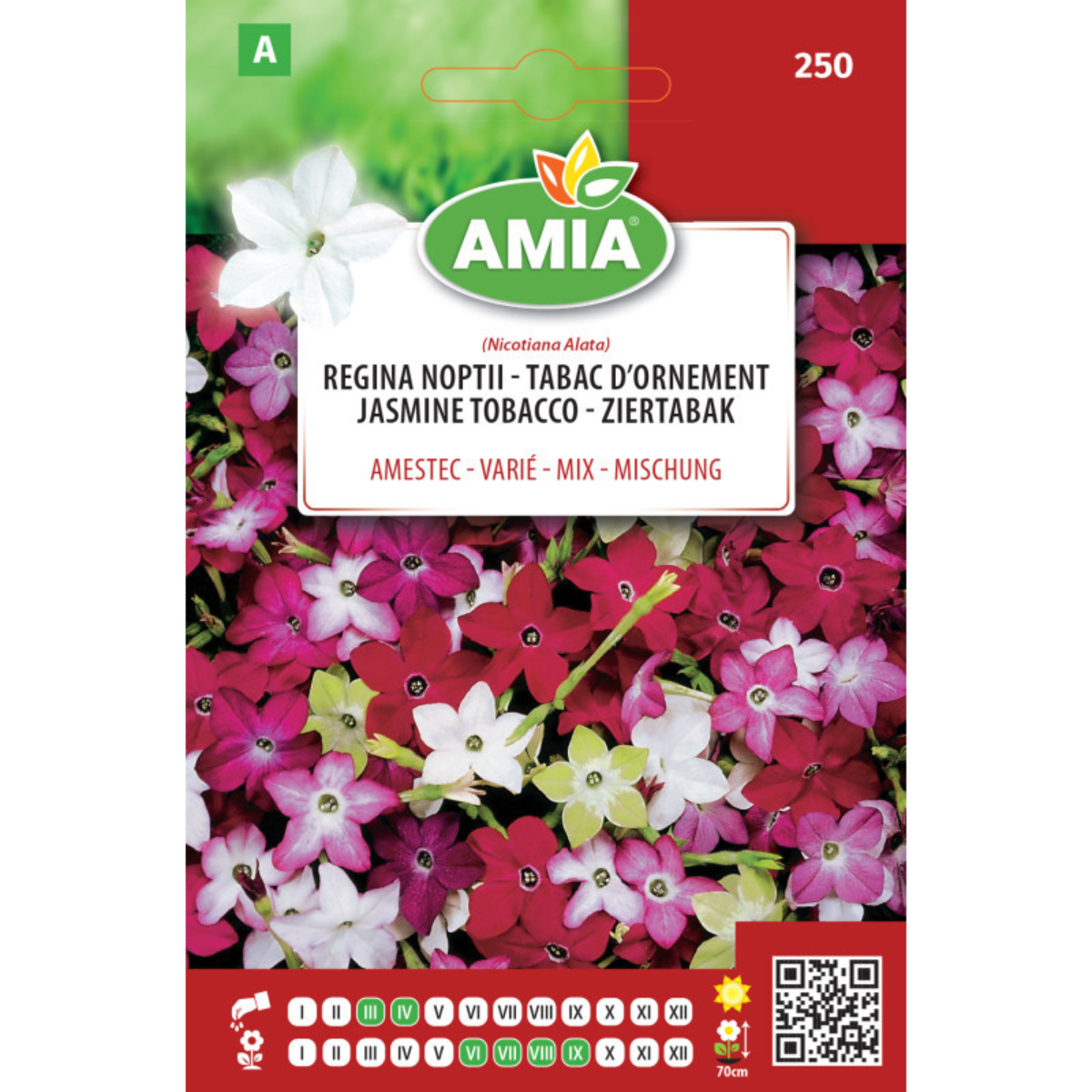 Seminte de flori Regina noptii amestec Amia, 0,7 g [0]