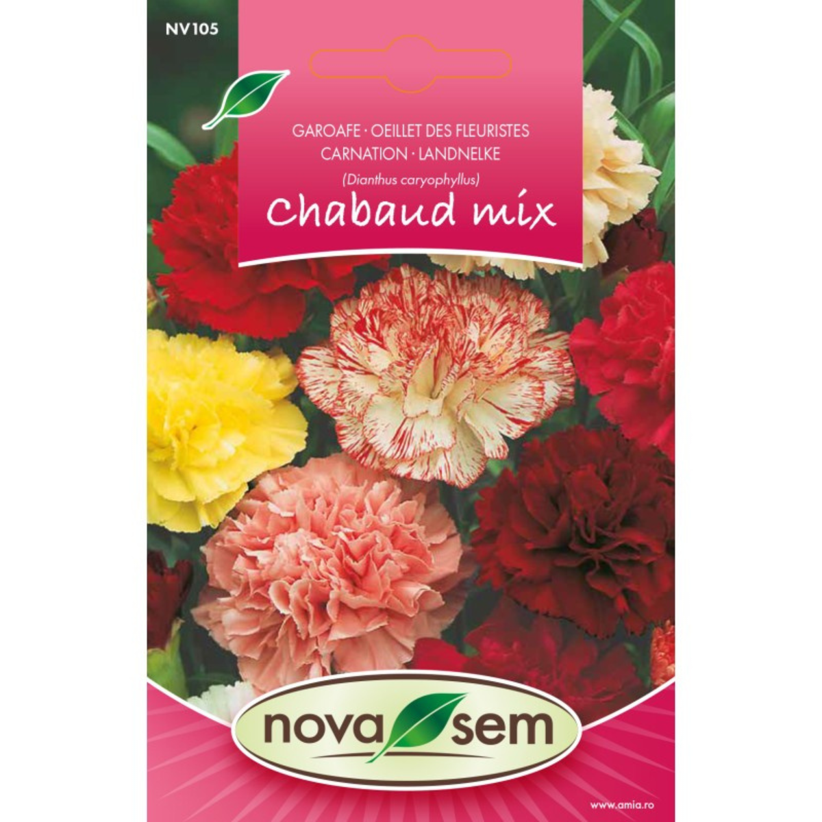 Seminte de garoafa Chabaud amestec Novasem, 0,2 g [0]