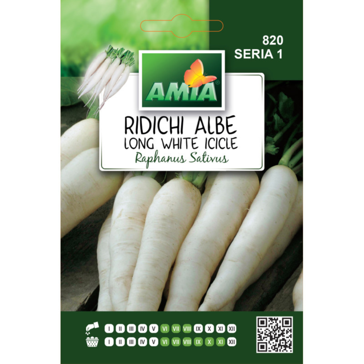 Seminte de ridichi albe Long White Icicle Amia, 6 g [0]