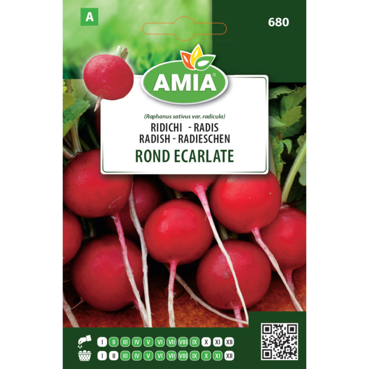 Seminte de ridichi Amia Rond Ecarlate 7 g [0]