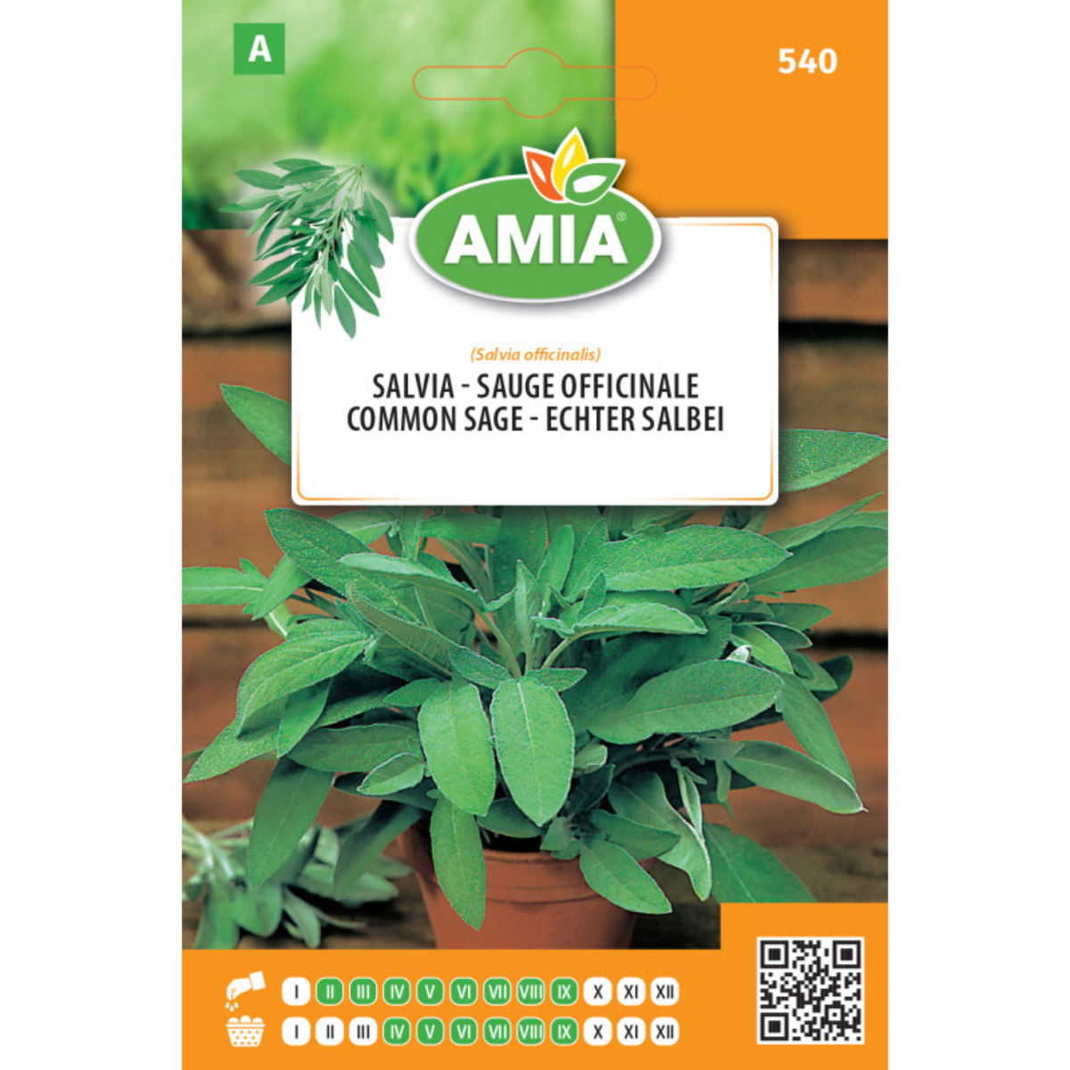 Seminte de salvia Amia, 0,7 g [0]
