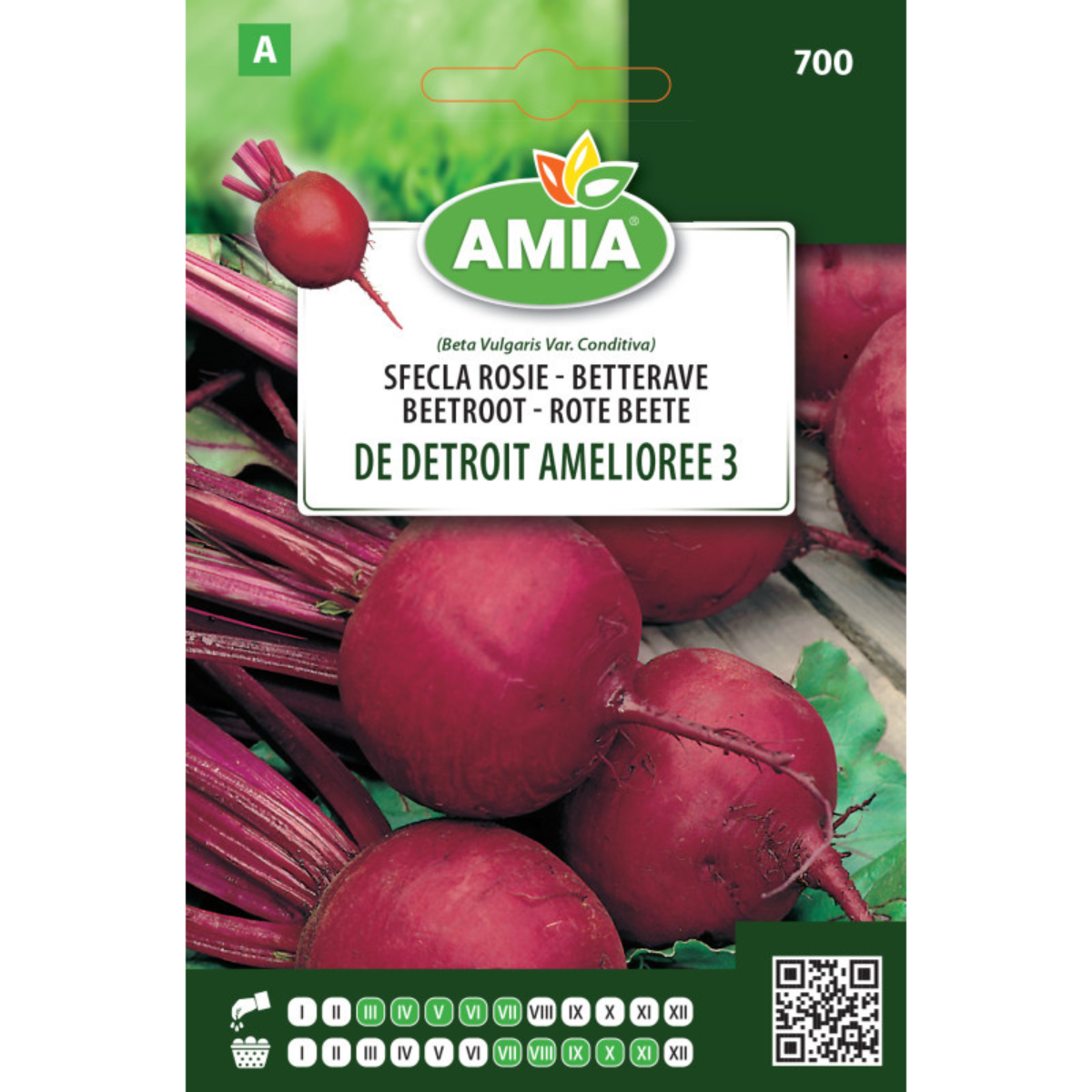 Seminte de sfecla rosie Amia Detroit amelioree 3, 6 g [0]