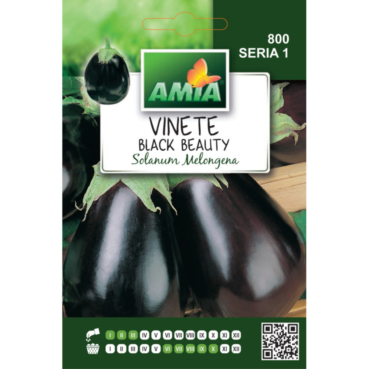 Seminte de vinete Black Beauty Amia, 2 g [0]