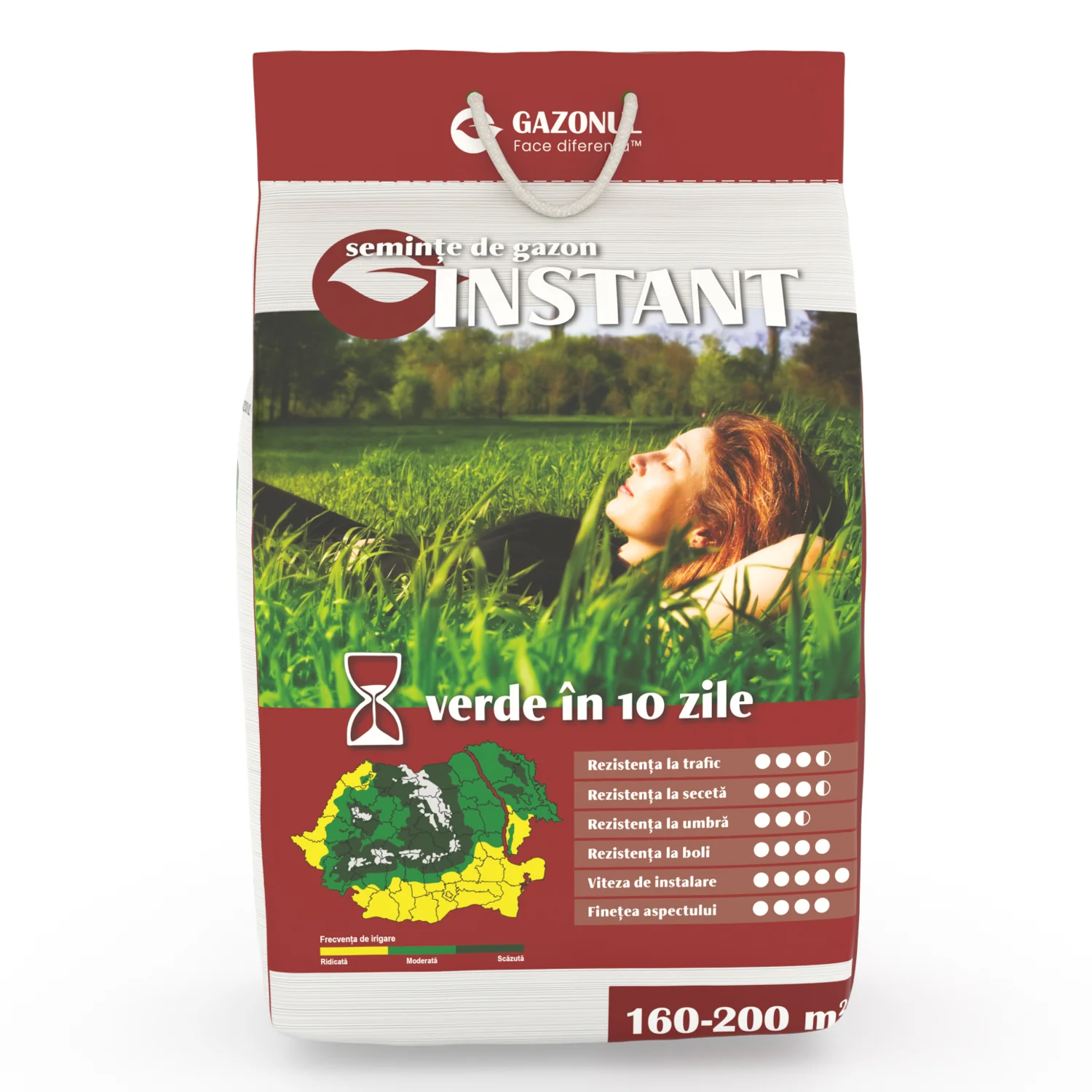 Seminte Gazon Instant cu germinare rapida pentru goluri si reparatii imediate, 4 KG [1]