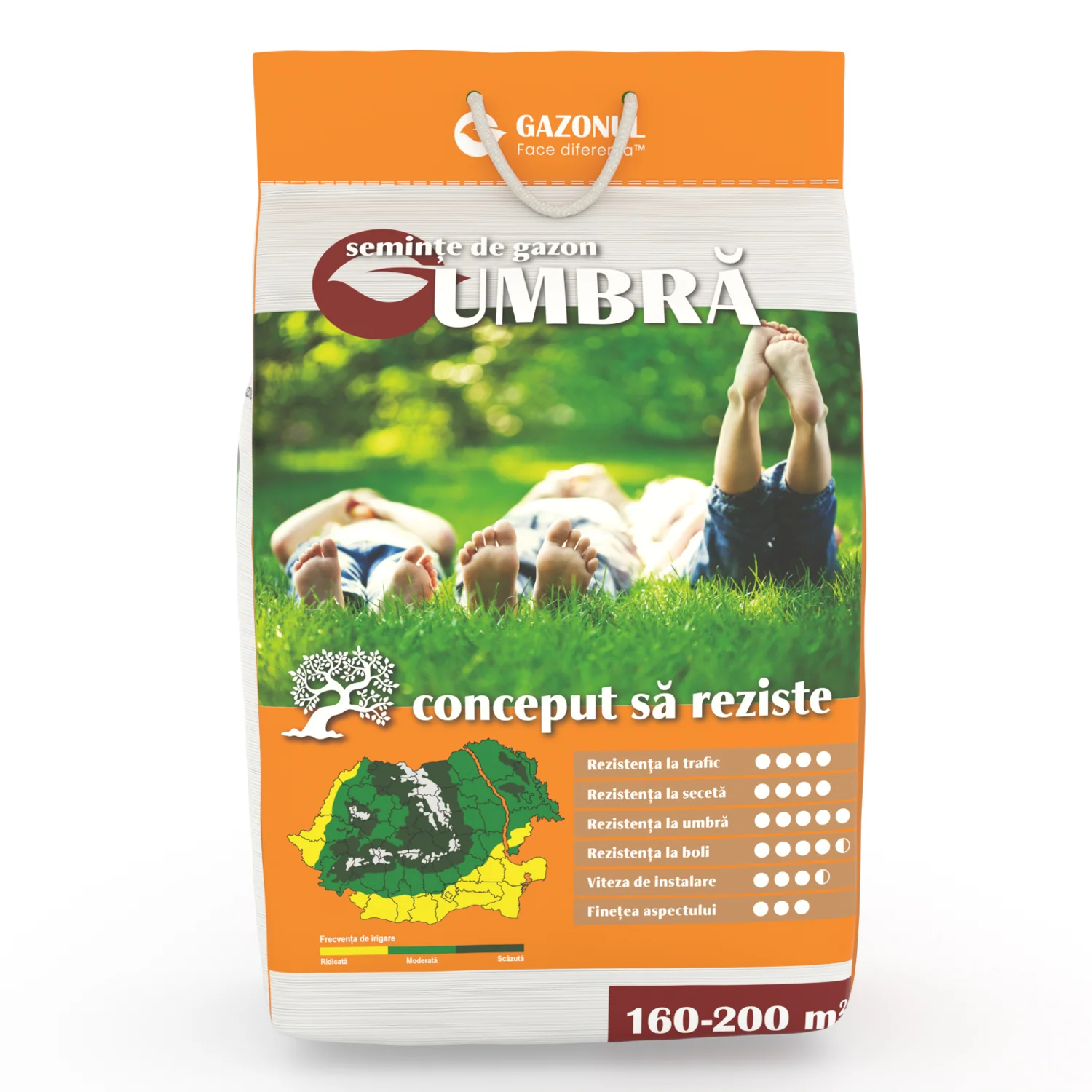 Seminte Gazon Umbra pentru livezi, spatii umbrite si semiumbrite, 4 KG [1]