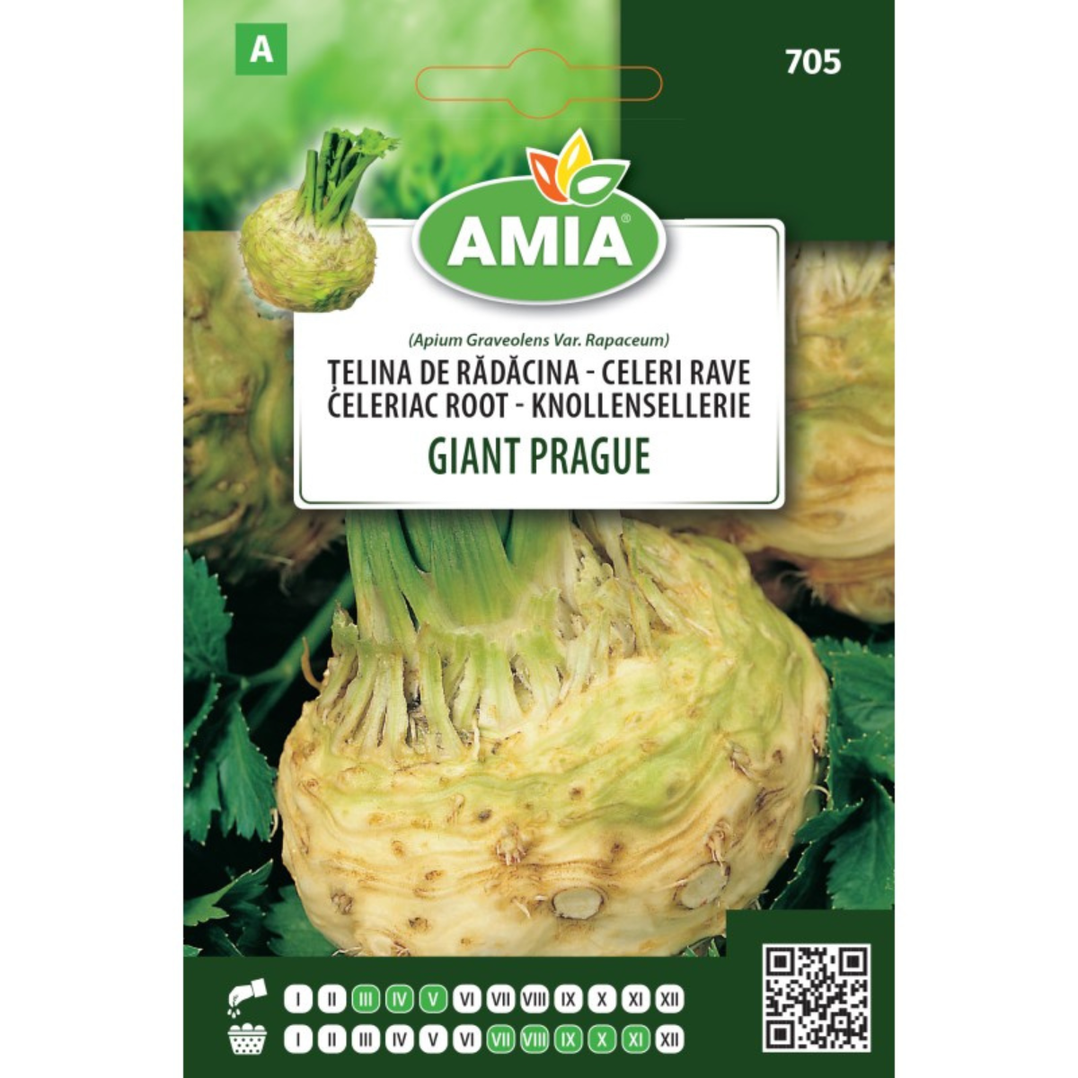 Seminte telina de radacina Amia Giant Prague 2,5 g [0]