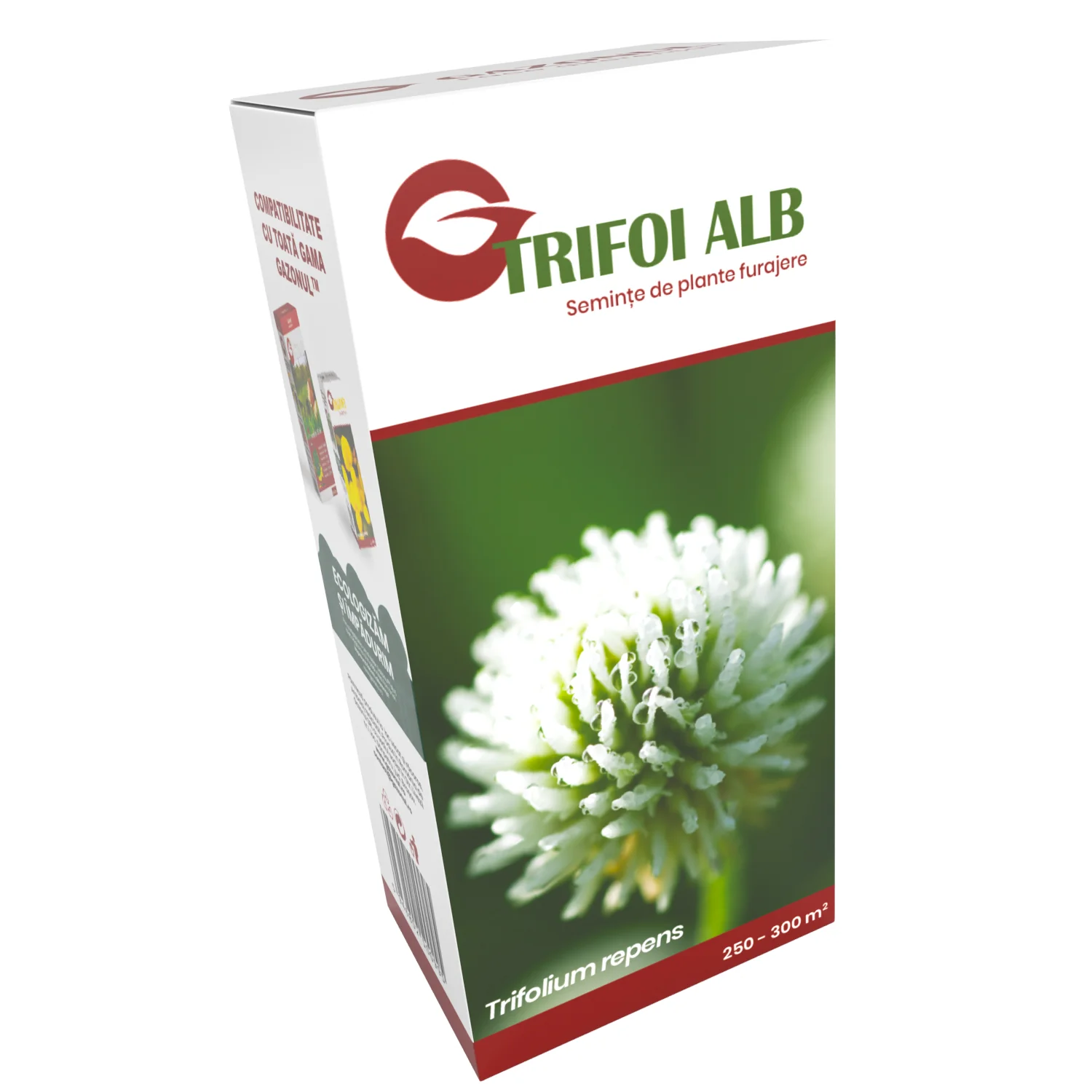 Seminte Trifoi Alb pentru gradini rustice, intretinere redusa si furaj, 500 gr [2]