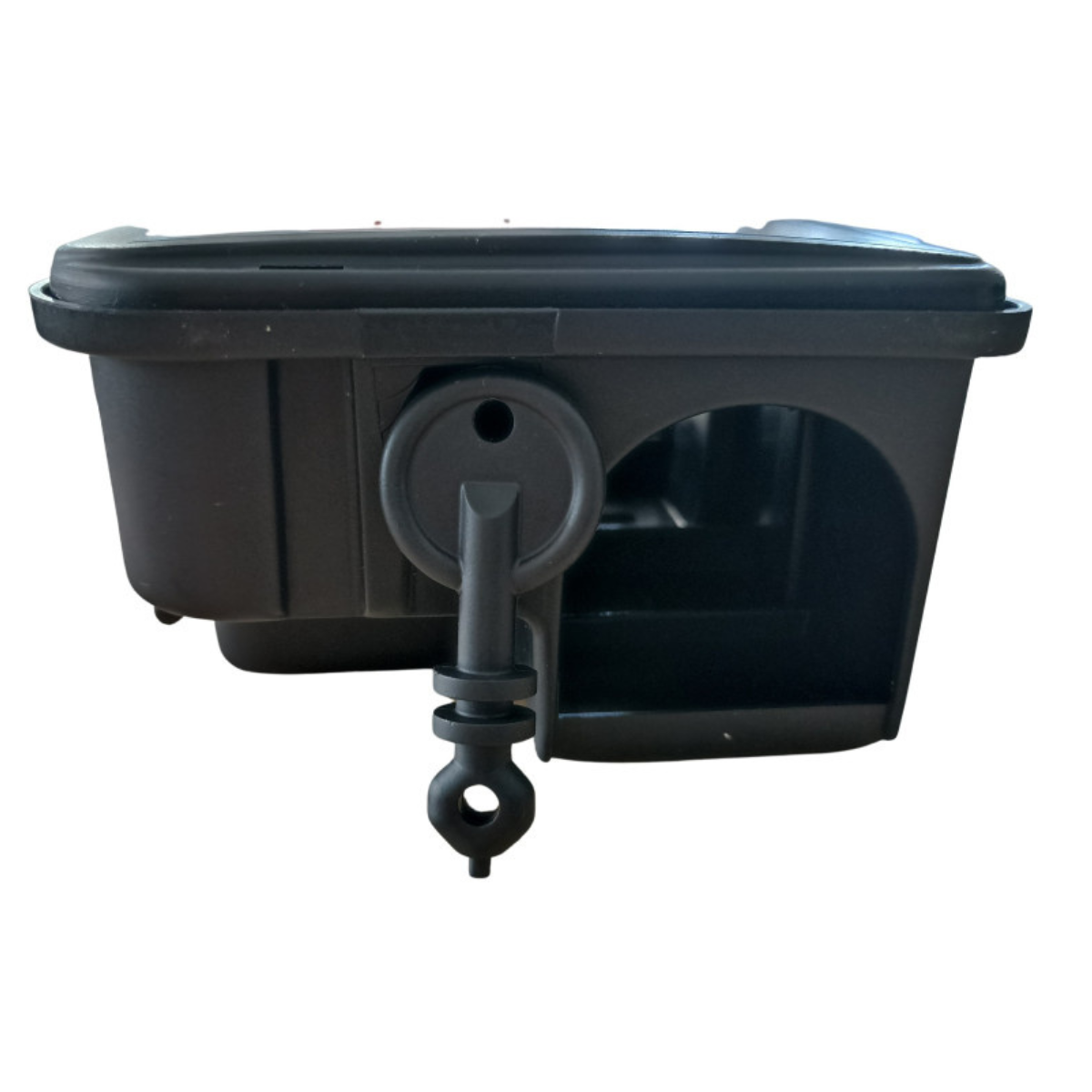 Statie intoxicare soareci si sobolani cu cheie Amia [4]