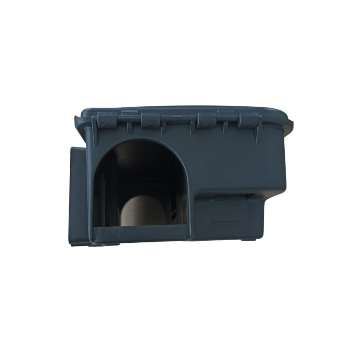 Statie intoxicare soareci si sobolani cu cheie Amia [6]