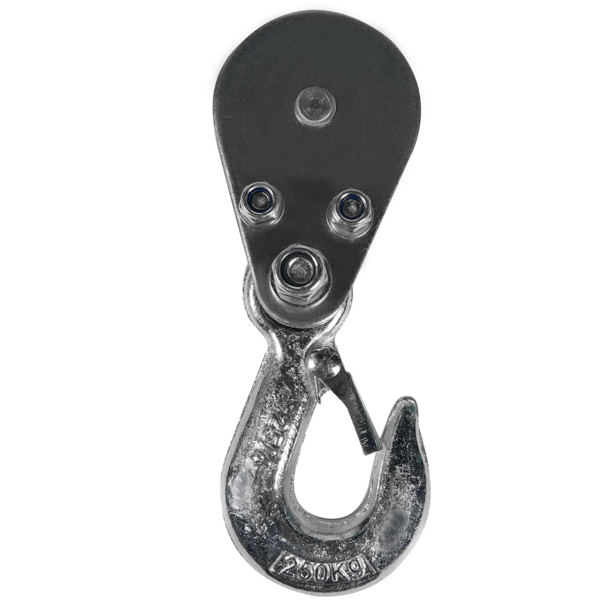 Troliu electric (macara) 250kg 450W fir 3mm [2]