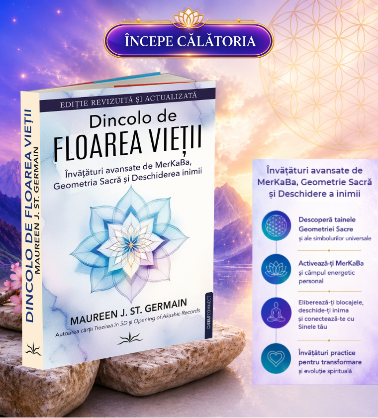 DINCOLO DE FLOAREA VIETII MOBILE