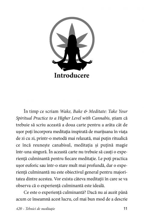 420 Tehnici de Meditatie de Kerri Connor [3]