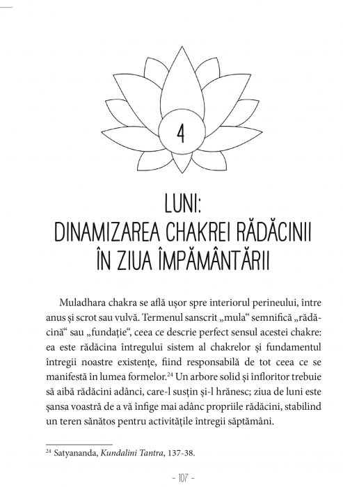Sapte Zile Despre Chakre de Shai Tubali [6]