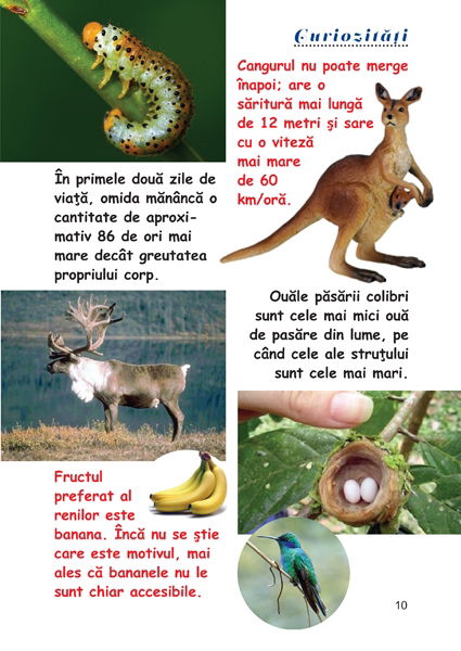 Curiozitati din lumea animalelor [2]