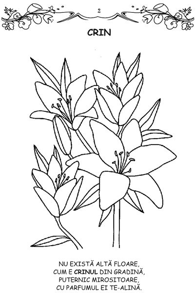 Florile - carte de colorat [3]