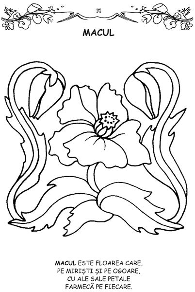 Florile - carte de colorat [2]