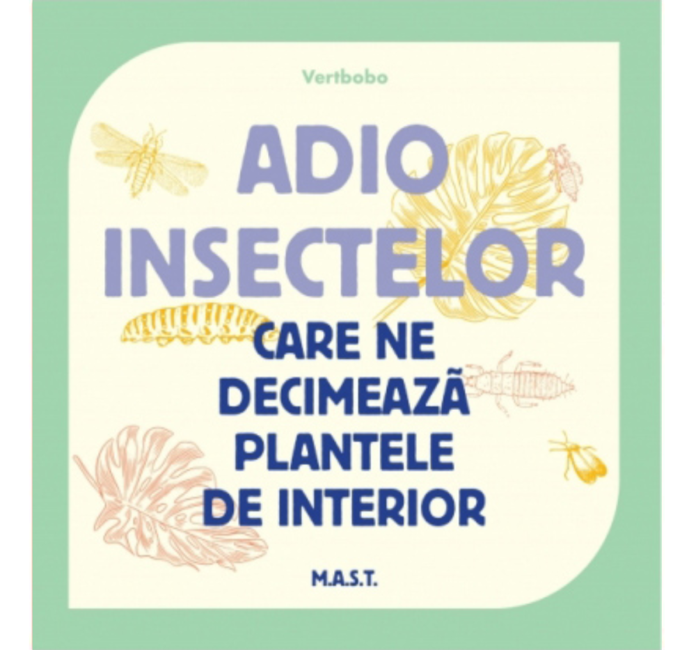 Adio insectelor care ne decimeaza plantele de interior [1]